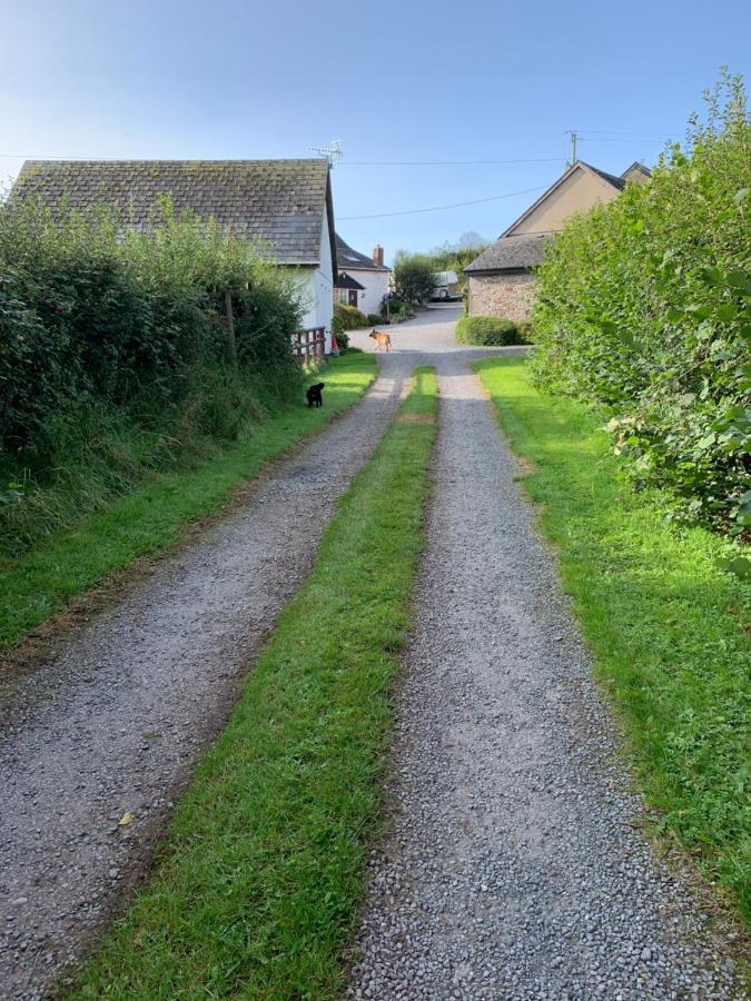The Reindeer Retreat Buttercup Twin Hotel Kidwelly Buitenkant foto